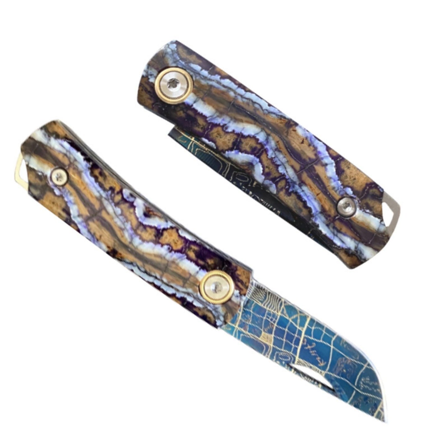 Mammoth – Giant Elephant